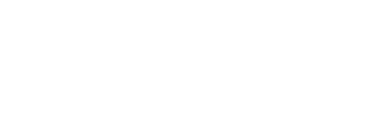 Tina Valerdi Logo